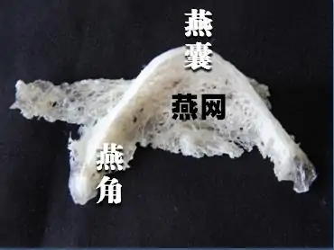 白燕盏和燕窝的区别-干燕窝和燕盏的区别-