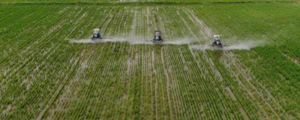 夏季的农事活动有哪些(惊蛰的农事活动有哪些)