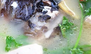 花鲢鱼头汤的做法 花鲢鱼头汤的做法是什么(鲢鱼的家常做法 鲢鱼头汤的做法)