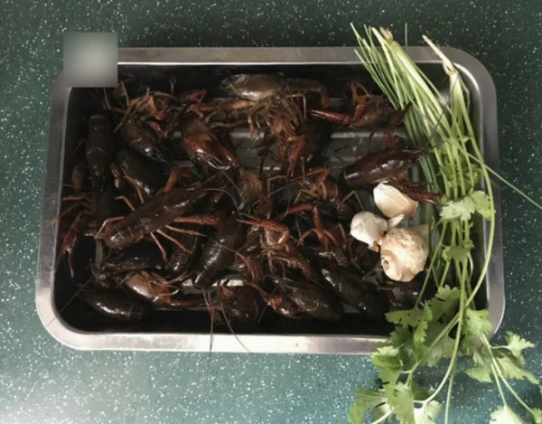 如何处理冷冻后的大龙虾-大龙虾怎么处理和怎么做