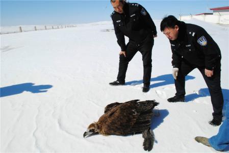 为什么通辽到霍林河火车停运(通辽至霍林河的火车是几点的啊)