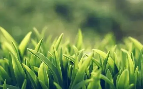 10个化学变化的例子有哪些?化学变化沉淀的例子